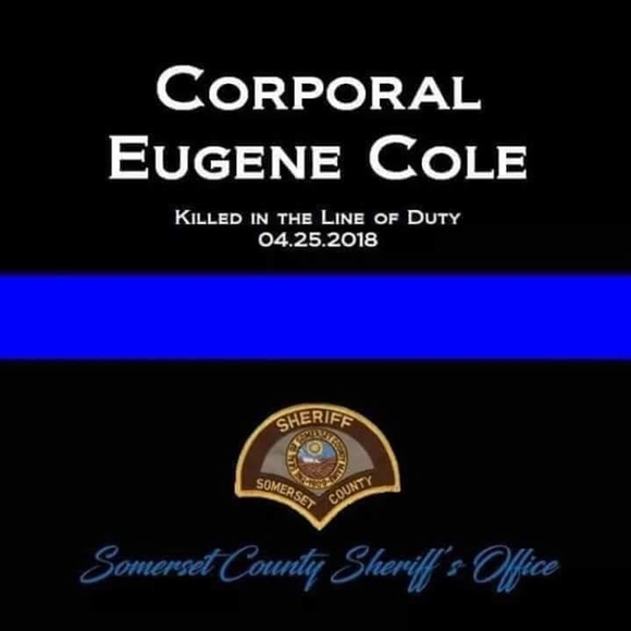 Meet your Posher, Nicole - Picture 1 of 1